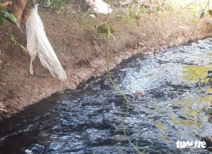 bãi rác - Ảnh 4.