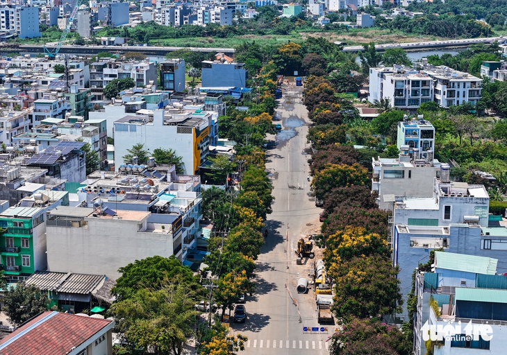 Đặng Thùy Trâm - Ảnh 2.