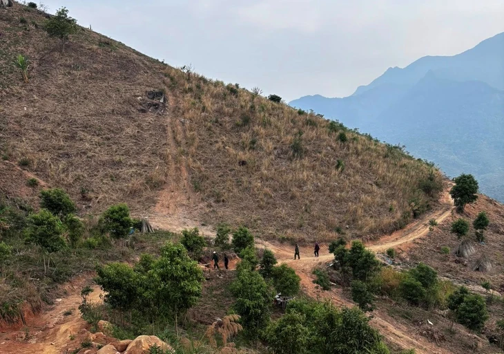 mất tích - Ảnh 3.