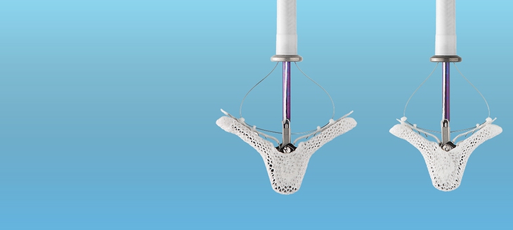 quản lý sức khỏe - Ảnh 2.