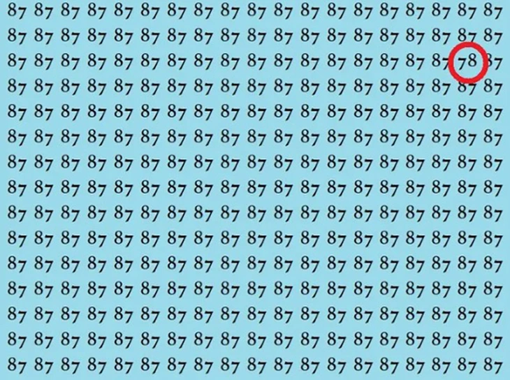 Mắt 10/10 - Ảnh 5.