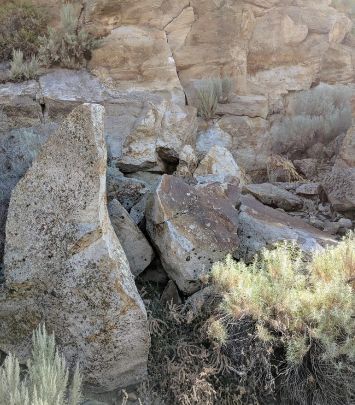 Mắt 10/10 - Ảnh 1.