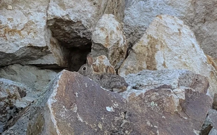 Mắt 10/10 - Ảnh 3.