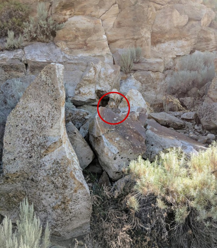 Mắt 10/10 - Ảnh 2.