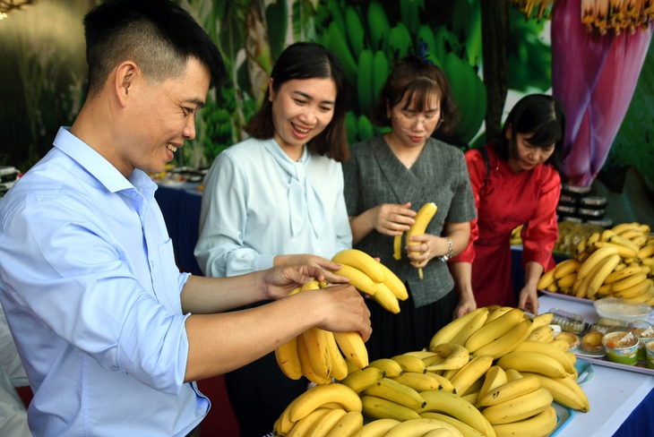 xuất khẩu chuối - Ảnh 4.