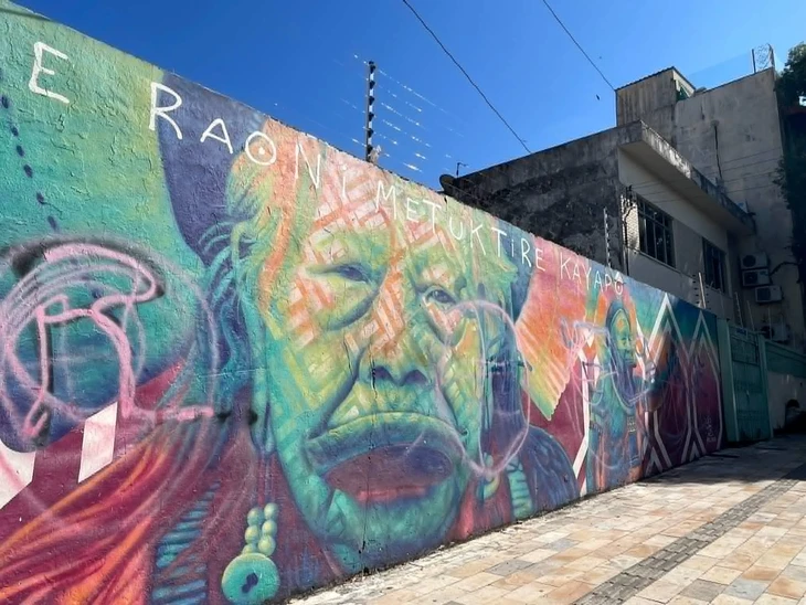 rừng Amazon - Ảnh 2.