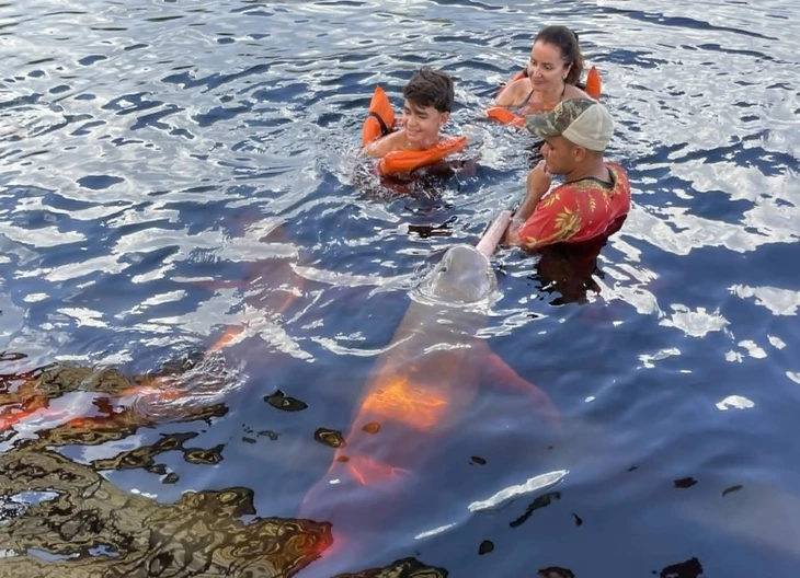 rừng Amazon - Ảnh 3.