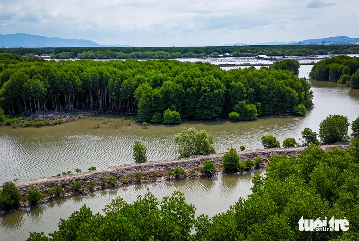 Cái Mép - Ảnh 6.