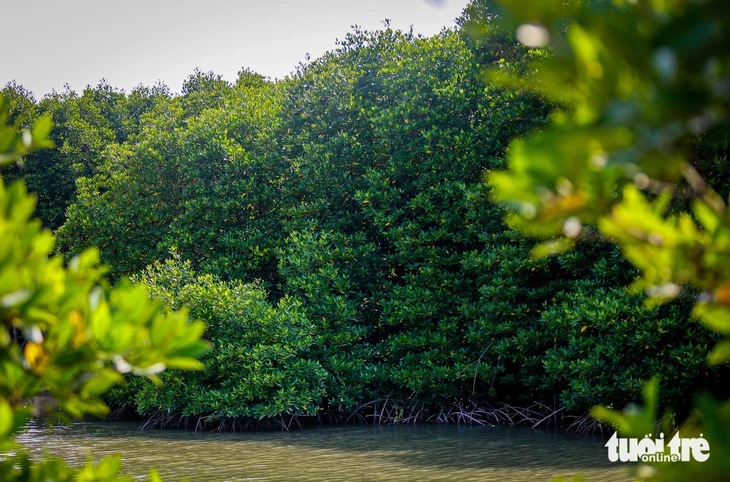 Cái Mép - Ảnh 7.