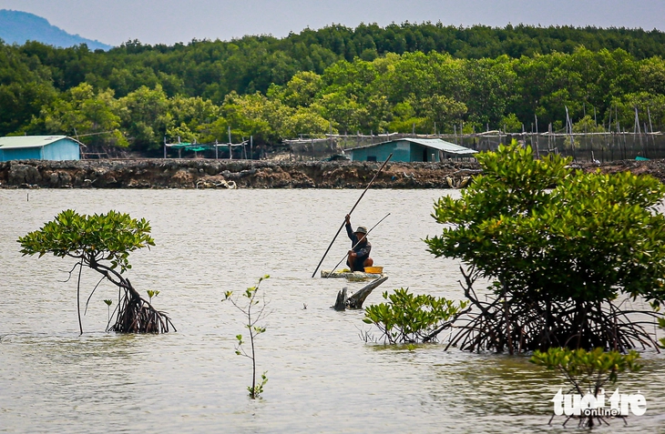 Cái Mép - Ảnh 8.
