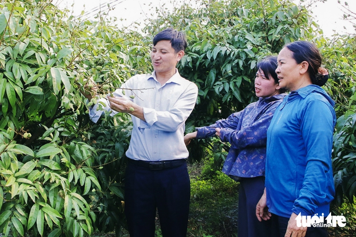 vải thiều - Ảnh 5.