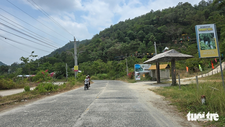 rừng phòng hộ - Ảnh 2.