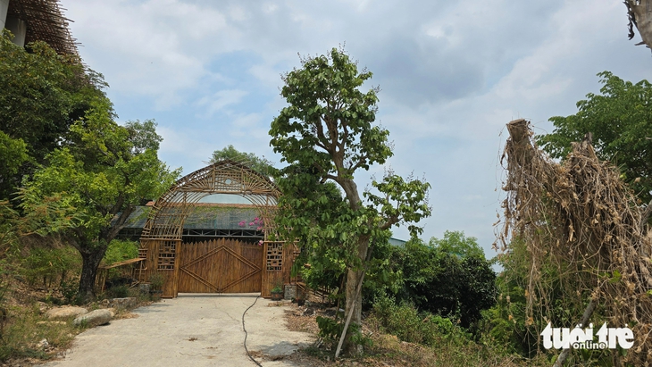 rừng phòng hộ - Ảnh 3.