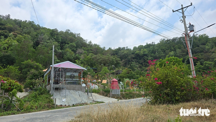 rừng phòng hộ - Ảnh 4.