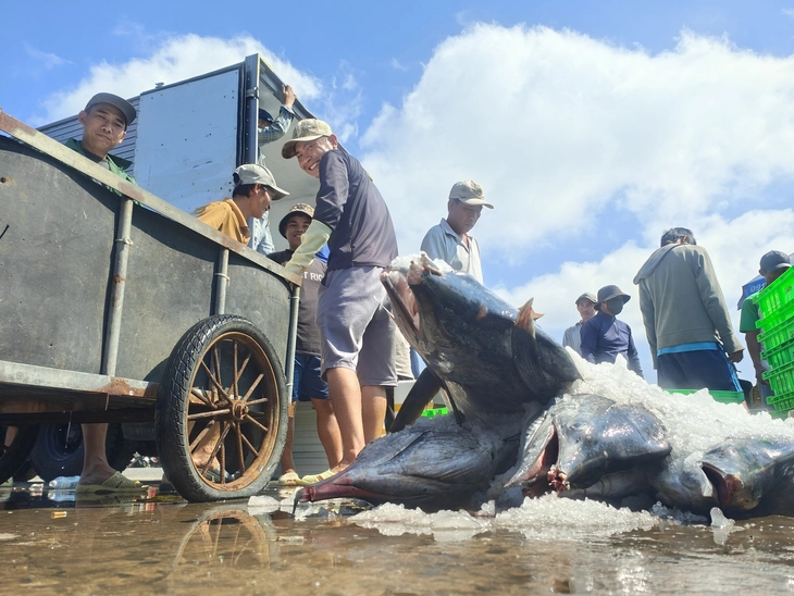 học sinh - Ảnh 2.