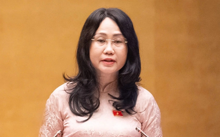 Trình Quốc hội đề xuất sĩ quan công an, quân đội, cán bộ có thể là luật sư công - Ảnh 4.