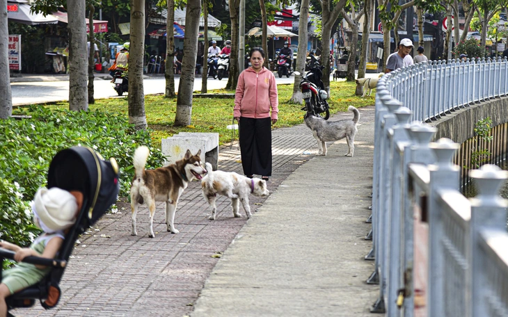 Nuôi chó: Làm ơn hãy biết ngượng và biết điều! - Ảnh 2.