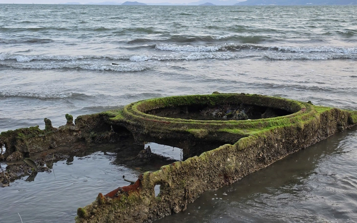 Xác minh 2 người đàn ông hái dừa trong công viên ven biển Nha Trang - Ảnh 2.