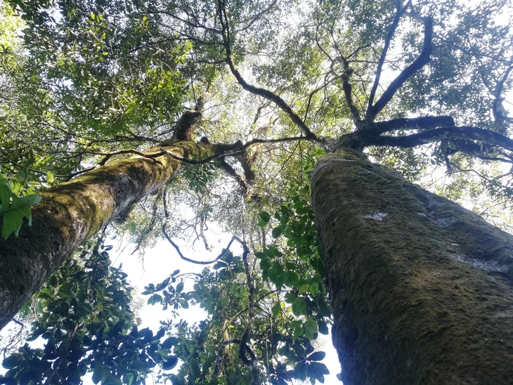 tam đảo bắc - Ảnh 2.