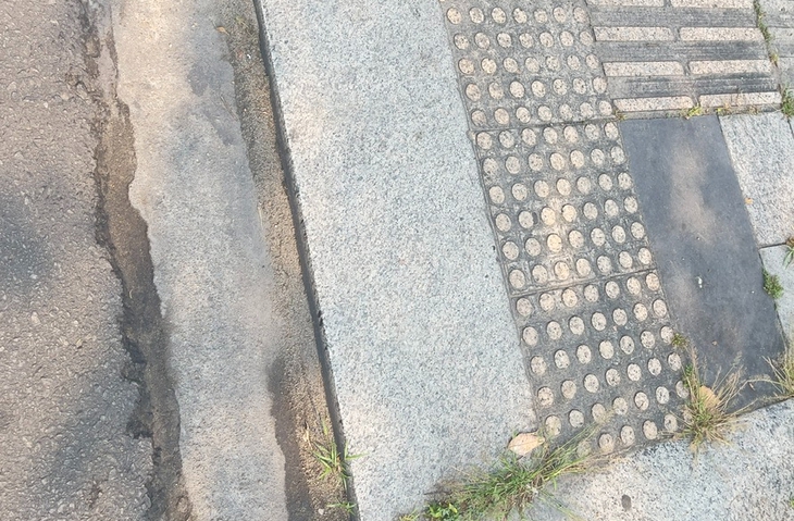 người khuyết tật - Ảnh 3.