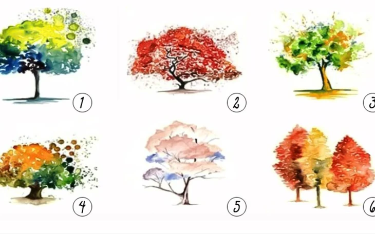 Quiz: Bạn có phải là người ngăn nắp? - Ảnh 2.