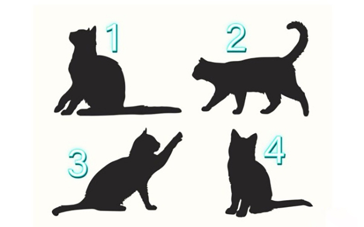Quiz: Bạn có khả năng lập kế hoạch dài hạn? - Ảnh 2.