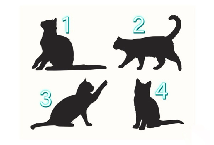 quiz - Ảnh 1.