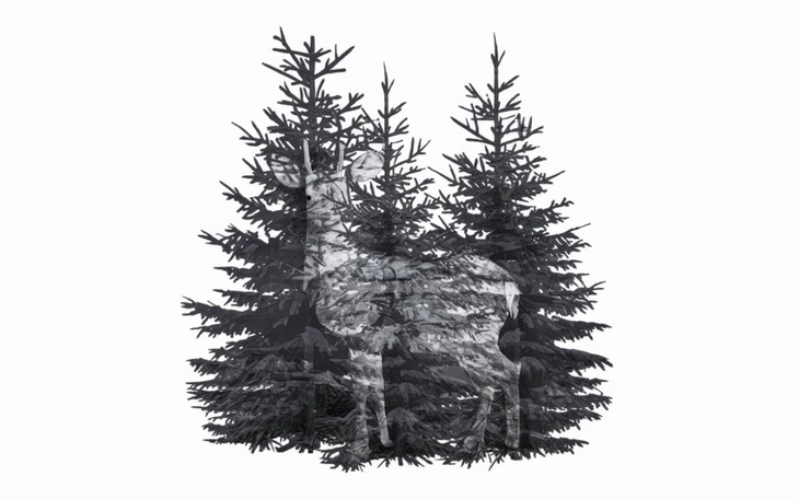 Quiz: Bạn vui vẻ, hướng ngoại hay là người điềm tĩnh? - Ảnh 2.