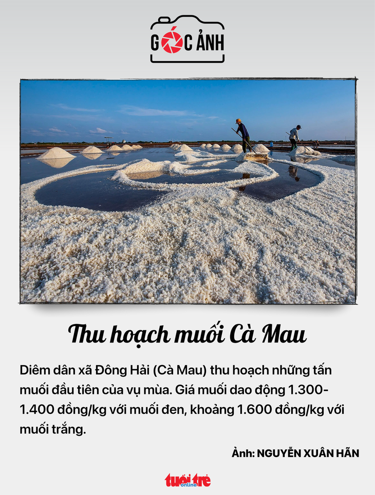 tin tức - Ảnh 7.