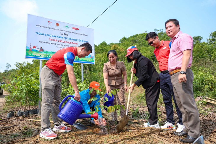 Dai-ichi Life Việt Nam trồng 6.000 cây xanh tại thảo nguyên Bùi Hui, tỉnh Quảng Ngãi - Ảnh 2.