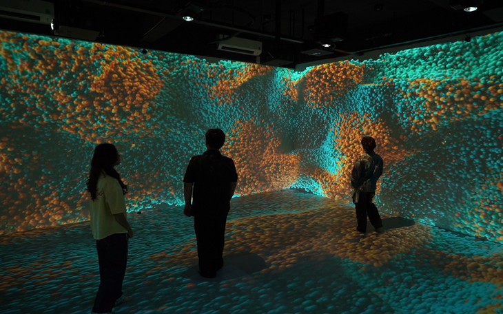 Xếp hạng đại học châu Á 2026 THE: trường Việt Nam đồng loạt tụt hạng - Ảnh 2.