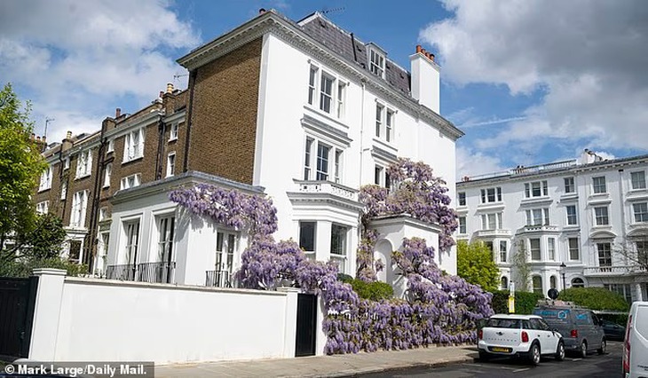 Quên hoa dành dành đi, hoa tử đằng mới khiến TikToker 'phát rồ' - Ảnh 2.