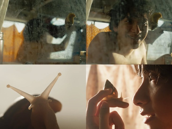 Giấc mơ là ốc sên - Ảnh 2.