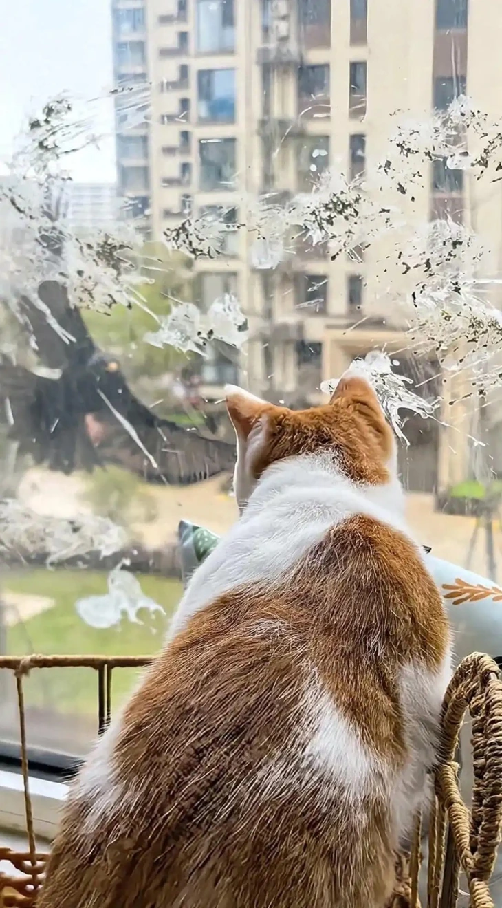 trả thù - Ảnh 2.