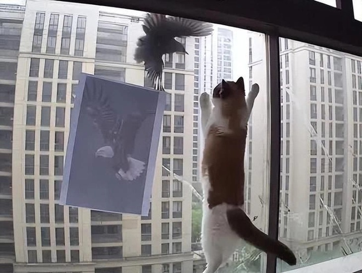 trả thù - Ảnh 1.