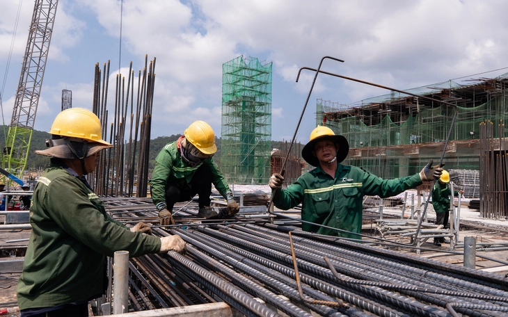 An Giang chuyển đổi khoảng 300ha rừng đặc dụng làm dự án đón APEC 2027 ở Phú Quốc và sân bay Thổ Chu - Ảnh 3.