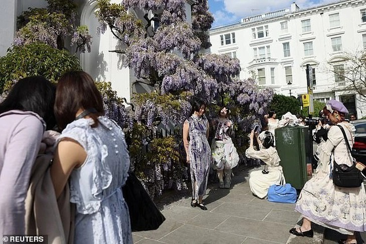 Quên hoa dành dành đi, hoa tử đằng mới khiến TikToker 'phát rồ' - Ảnh 3.