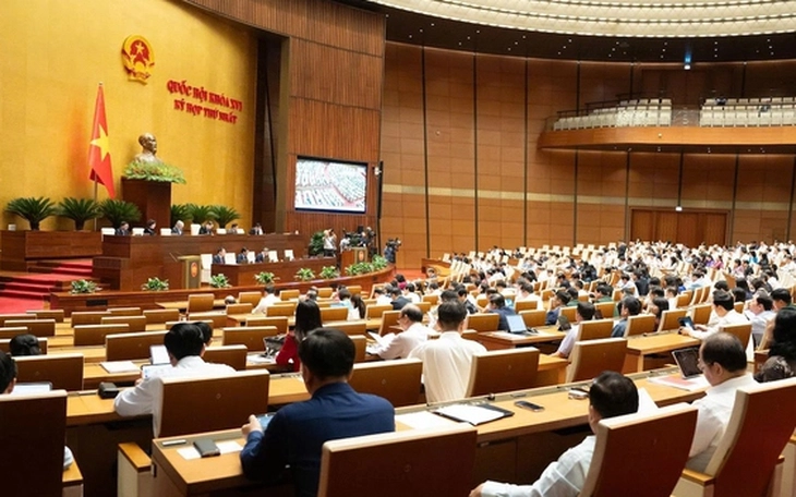 Đại biểu Quốc hội đề xuất ngưỡng doanh thu miễn thuế của hộ kinh doanh nâng lên 3 tỉ đồng - Ảnh 4.