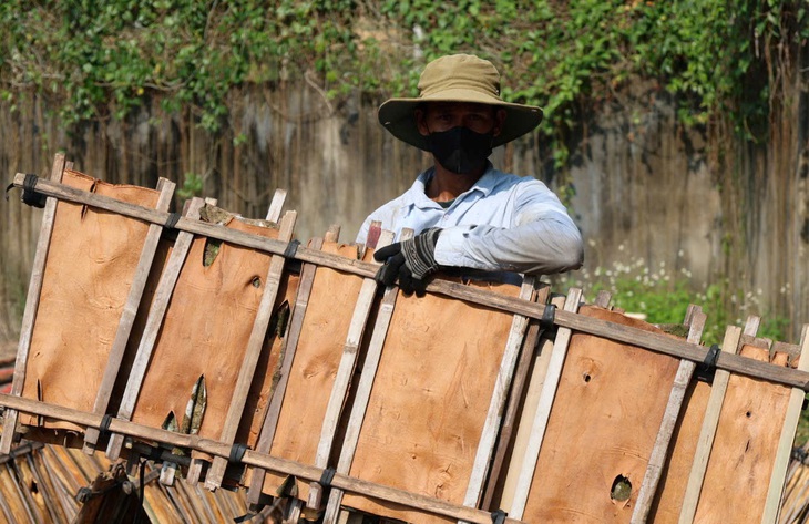 quế Trà Bồng - Ảnh 8.