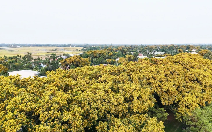 Độc đáo đêm trình diễn áo dài trên cây cầu lâu đời nhất bắc qua sông Hàn - Ảnh 7.