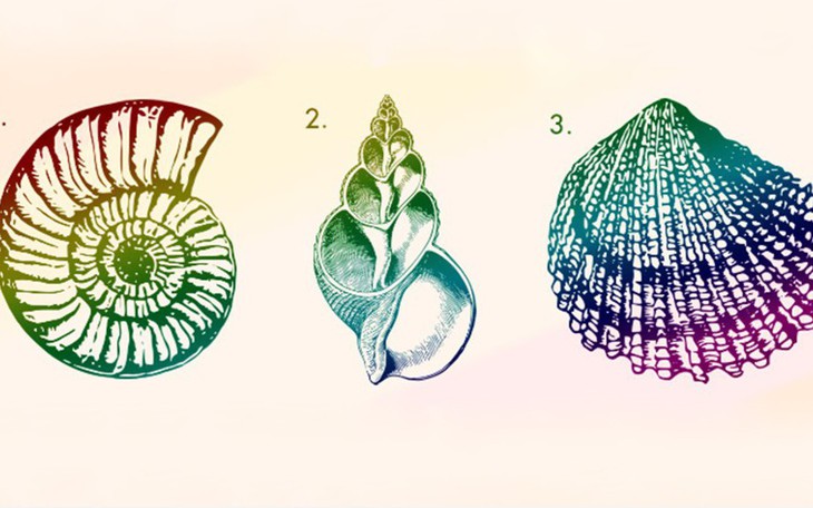 Quiz: Trong mắt người khác bạn là người kỷ luật, logic và đáng tin cậy? - Ảnh 4.