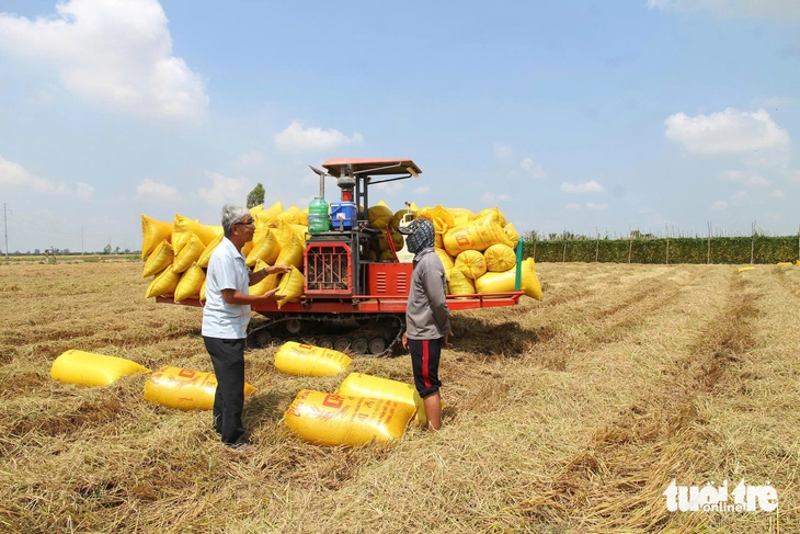 Cần Thơ - Ảnh 2.