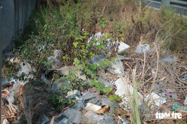rác thải - Ảnh 3.