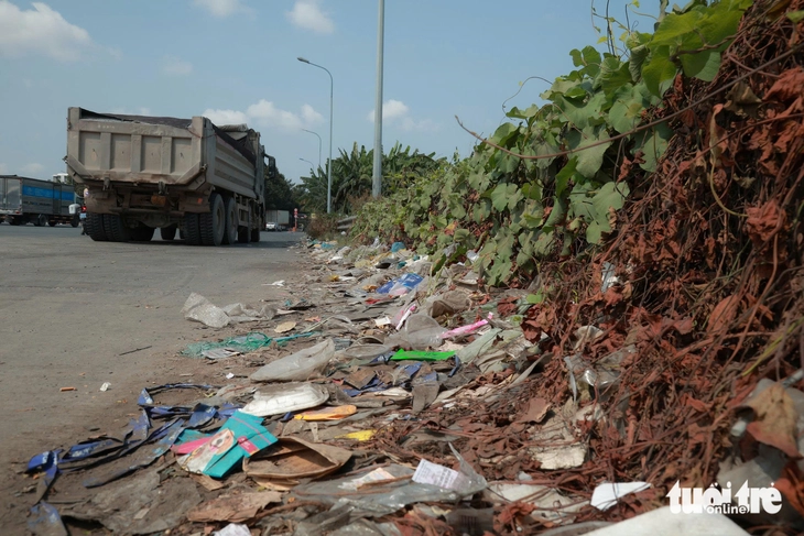 rác thải - Ảnh 10.
