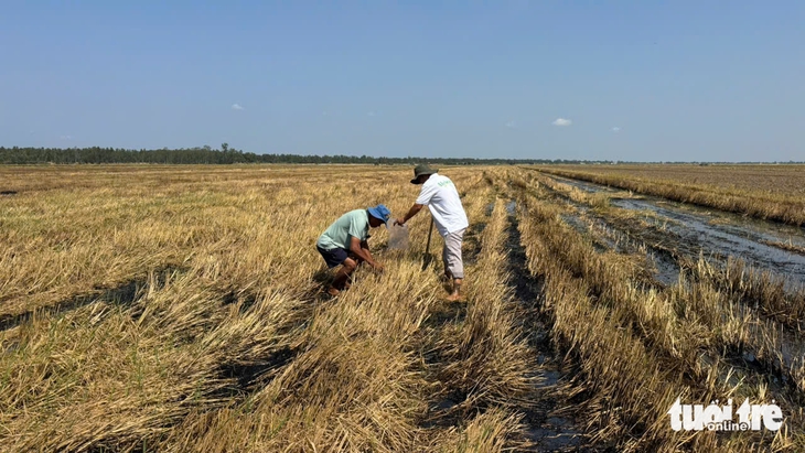 chế phẩm sinh học - Ảnh 2.