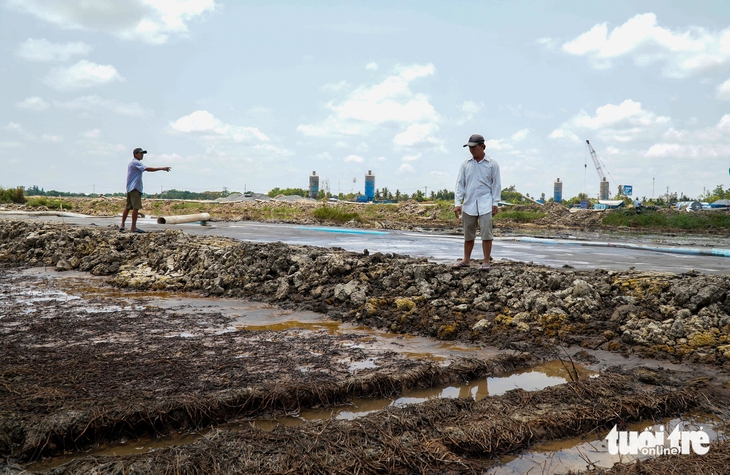 CÁ CHẾT - Ảnh 3.