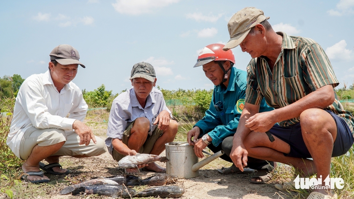 CÁ CHẾT - Ảnh 4.