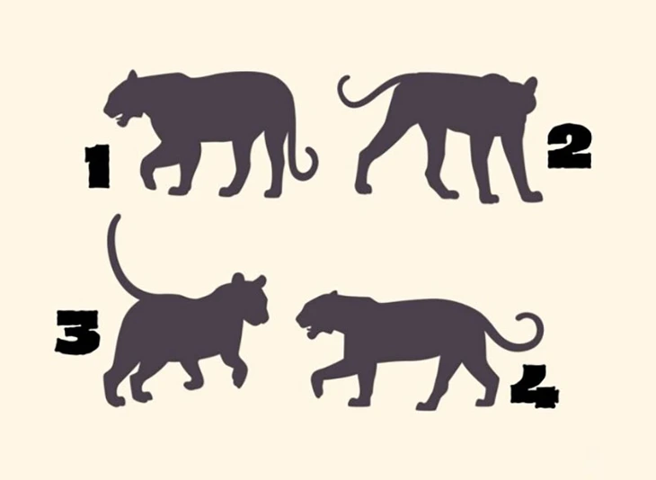 quiz - Ảnh 1.