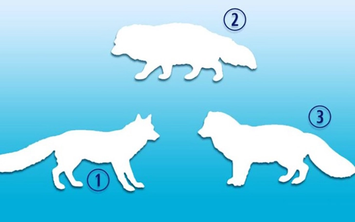 Quiz: Bạn nổi bật với phong thái giản dị hay là người tốt bụng? - Ảnh 2.