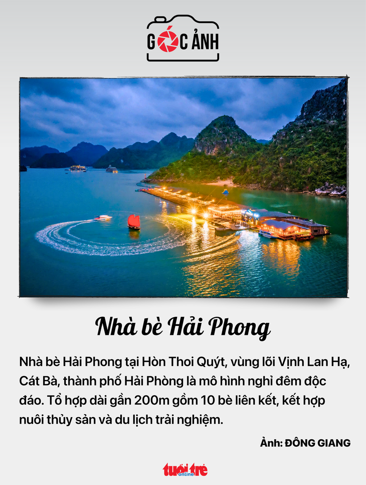 miễn thuế - Ảnh 5.